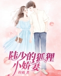陆少在逃小娇妻3