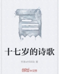 诗歌十七岁龙应台