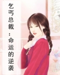 乞丐总裁：命运的逆袭