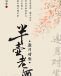 半壶老酒的意思