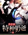 特种奶爸俏老婆完结版