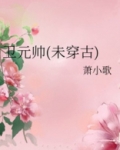 卫元帅(未穿古)