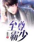 至尊霸婿 小说