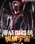 漫威蜘蛛侠：纵横宇宙