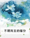 不期而遇的缘分前面一句