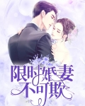 限时婚宠,boss大人不可免费阅读