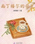 南丁格尔的功绩