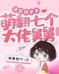 团宠萌宝四岁半纪七七