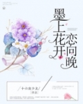 墨上花开恋向晚全文免费