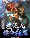 综武：在下济公，搓泥丸续命祖龙！