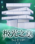 极光之意小说