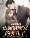 财阀儿子掉包的韩剧