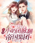 5年后6个小奶包怒吼炸他公司小说