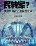 民转军谁都知道我们是民营企业顶点小说