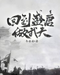 回到盛唐做武夫无防盗