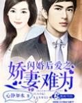 闪婚后爱:裴少的娇妻段溪鸣