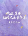粮之蓝图:结婚不如卖汤圆百度云