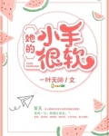 他的手很好看