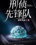 刑警先锋电视剧好看吗