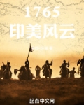 1765印美风云百度小说