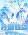 丹道仙族TXT