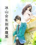 冰山也会爱吗小说