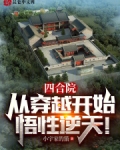 四合院：从穿越开始，悟性逆天！