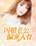 闪婚老公偏宠入骨全文免费阅读 小说