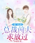 豪门前妻总裁要离婚