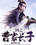 三国之曹魏天下
