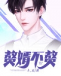 赘婿不赘 十五