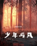 少年与风晋江文学城小说