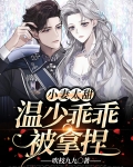 小妻太甜吻上瘾(小说)