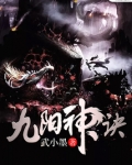 九阳神诀免费全文阅读苏晨