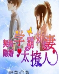 契约甜妻:隐婚老公霸道宠