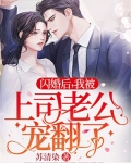闪婚后，我被上司老公宠翻了！