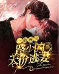 一胎两宝：路少的天价逃妻