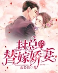 封总的替嫁娇妻