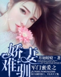 军门蜜爱之娇妻难驯
