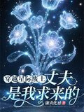 穿越星际废土丈夫是我求来的